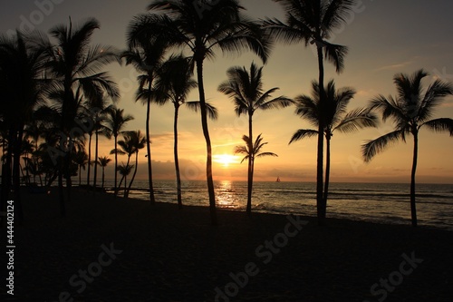 ハワイ島（ビッグアイランド）。夕暮れの浜辺。ヤシの木の向こうで海に沈む夕日 