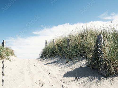 Beautiful pathway to the beach on a sunny day, Baltic Sea, Germany, Heiligenhafen