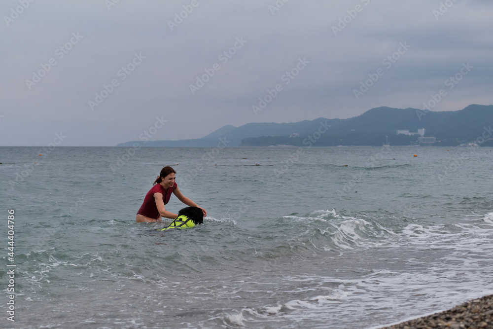 Obraz premium Bernese Mountain Dog is lifeguard and bodyguard on water and on land. Training of rescue dog in pond. Young cute Caucasian red haired girl teaches her dog to swim in sea in special life jacket.