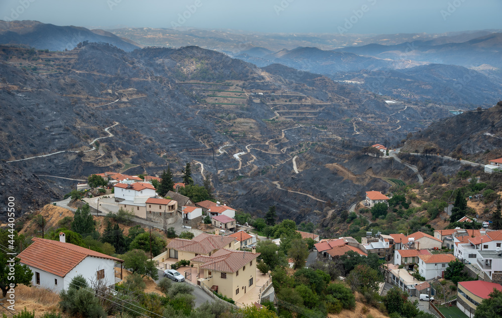 Mountain fire with burned land and disaster on agriculture. Odou Village Cyprus. Environmental disaster