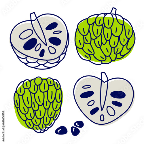 Annona cherimola tropical fruit icon set. Vector doodle illustration of line and color spot