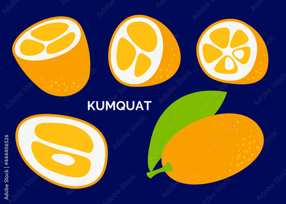 Icons set tropical citrus. Collection of exotic fruit kumquat. Vector doodle illustration isolated on the dark background