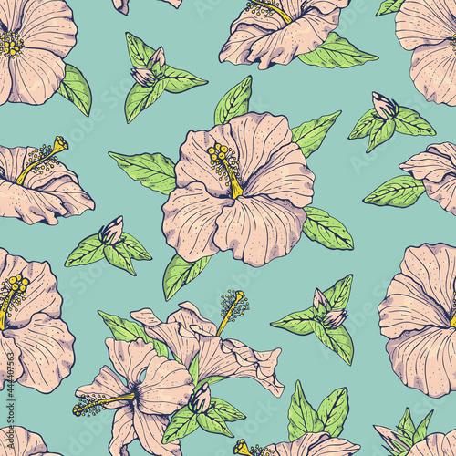Vintage seamless pattern with line art pink hibiscus flowers, buds and leaves, with dark outline. On turquoise background. Stock vector illustration.