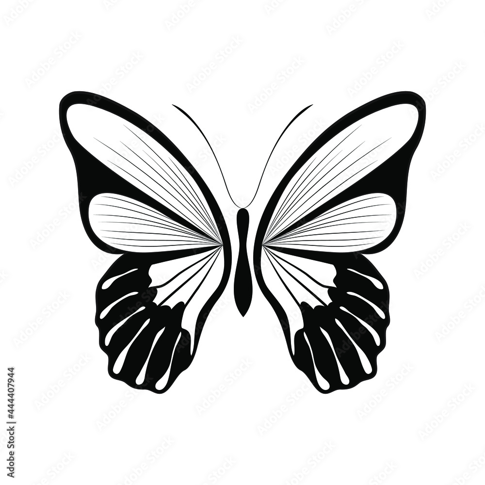 abstract butterfly vector template design.butterfly vector in black and white color. logo template, minimal, vector, simplified object- illustration