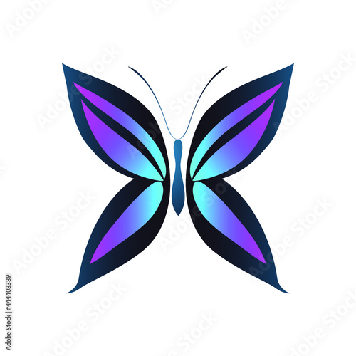 abstract butterfly vector template design.butterfly vector in shades of blue color gradient. logo template, minimal, vector, simplified object- illustration