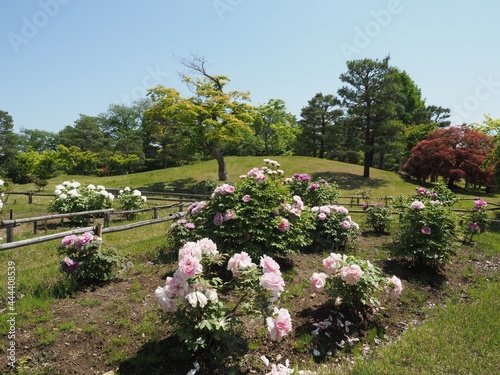 Rakusanen in Kanra Town, Kanra District, Gunma Prefecture photo