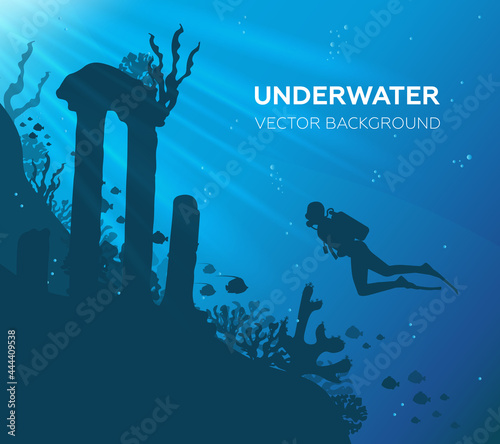 Underwater background with various sea views. Underwater scene. Cute sea fishes ocean underwater animals. Undersea bottom with corals seaweeds kids cartoon vector concept