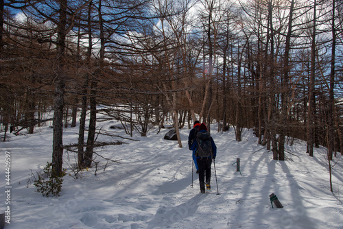 雪原歩き © kuon2602