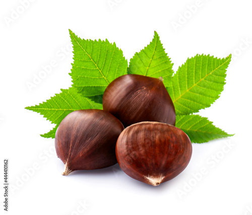 Horse chestnuts with leaves