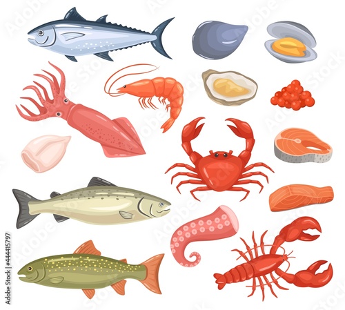 Cartoon seafood. Fresh fish, oyster, lobster, red tuna, salmon, octopus, shrimp, squid. Raw sea animal gourmet food products vector set. Cafe or restaurant menu with seafood cuisine
