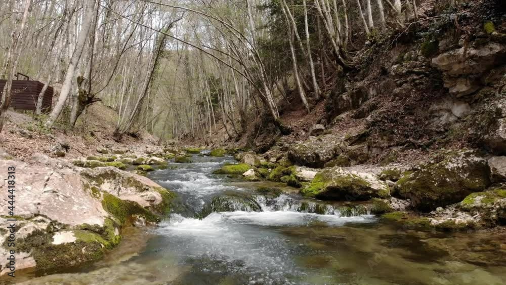 The camera flies over a small mountain river. A fast river flows among stones and trees. Reserve. The camera flies over a small mountain river. A fast river flows among stones and trees. Reserve.
