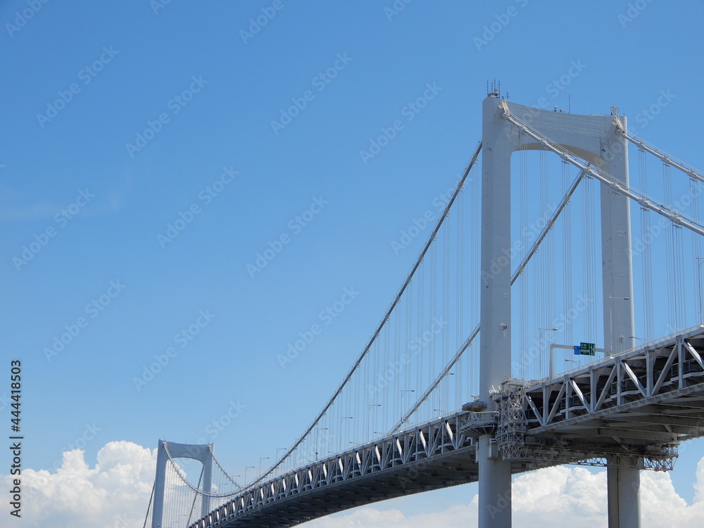 Fototapeta premium レインボーブリッジ