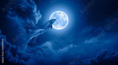 Photography Silhoutte of dolphins jumping up from the sea with blue full moon Elements of t