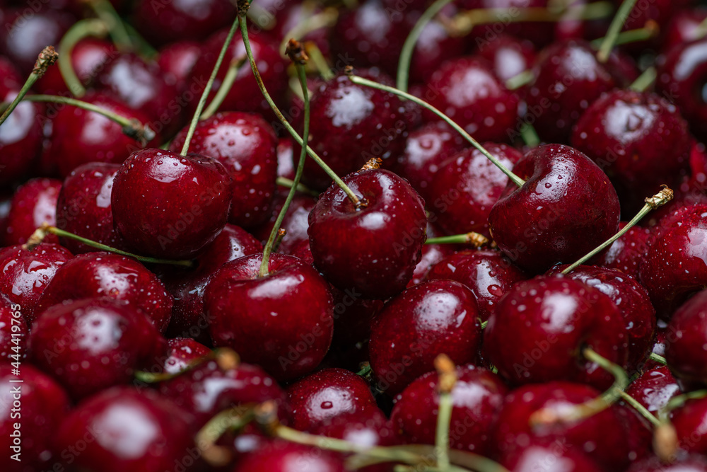 Sweet red cherry berries in drops of water. The tails are green. The freshness of fruits and berries. They lie tightly to each other Sweet red cherry berries in drops of water. The tails are green. The freshness of fruits and berries. They lie tightly to each other