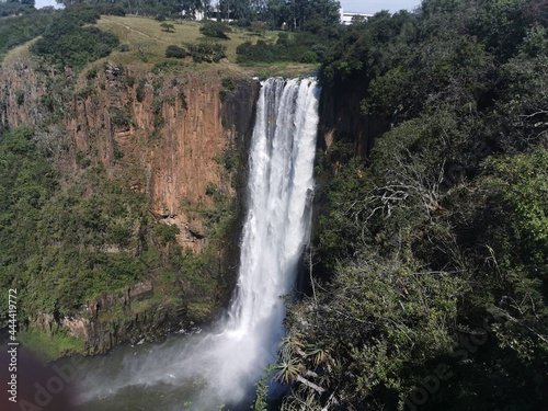 Waterfall greenery forest