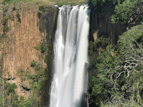 Waterfall greenery forest