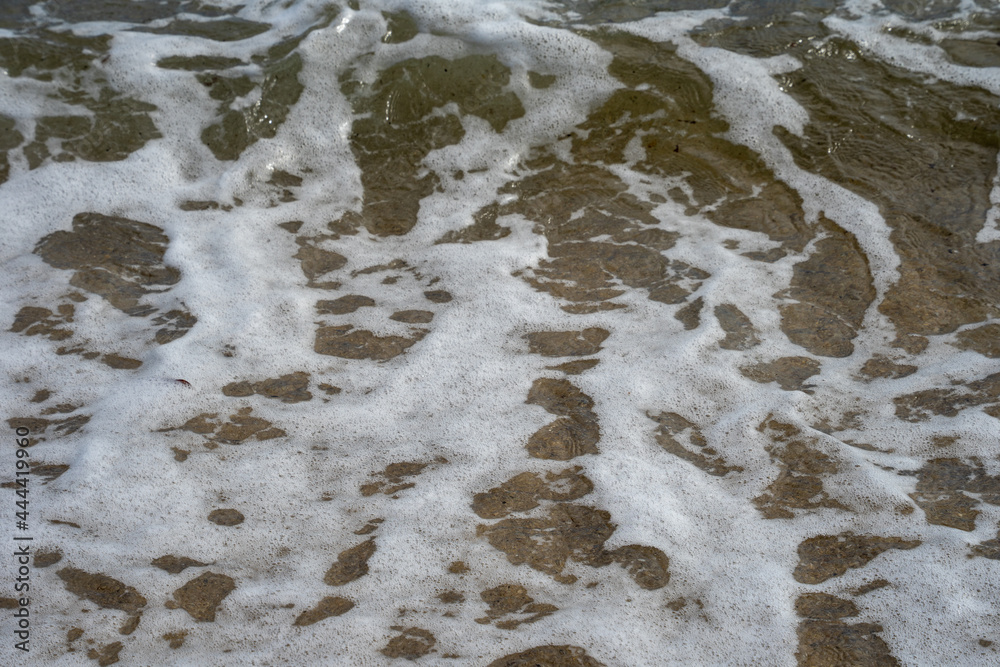 海 海