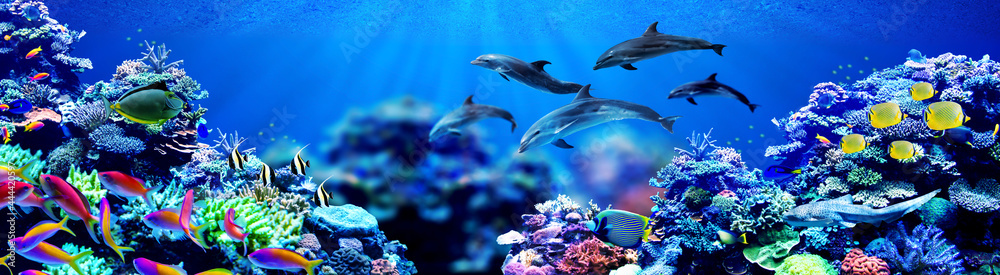 Background of dolphins swimming in beautiful coral reef with marine tropical fish - obrazy, fototapety, plakaty 