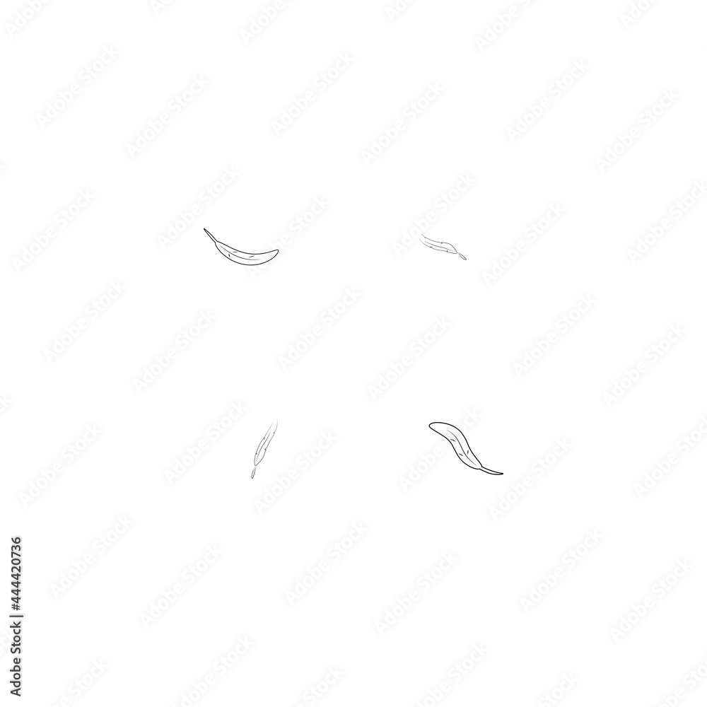 feather icon feather icon