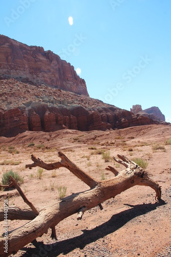 Capitol Reef National Park © Claire