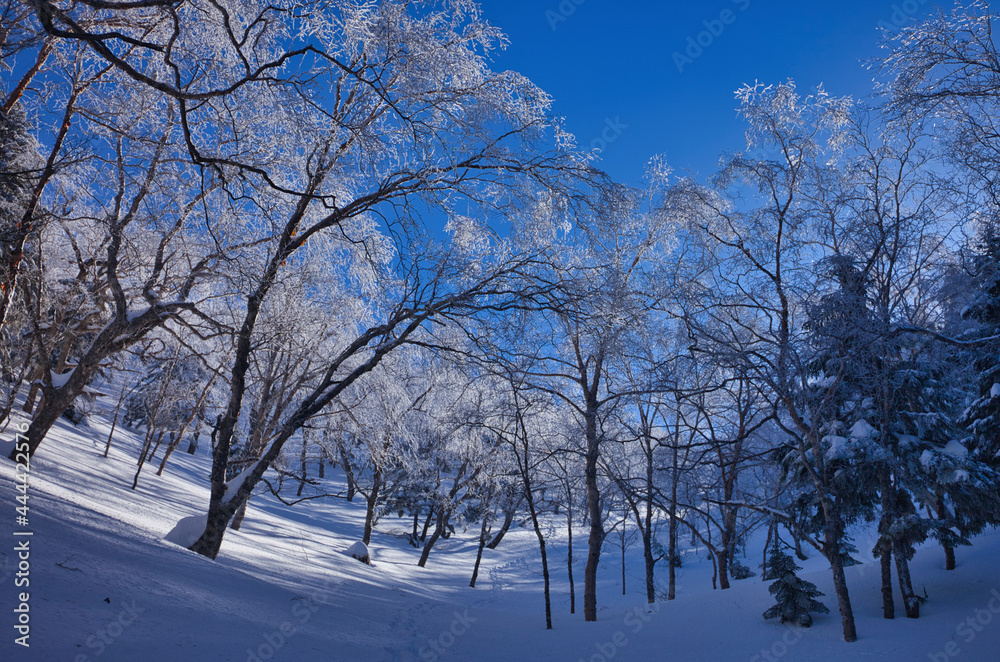 Mt.Iodake, mid winter 厳冬期の硫黄岳登山