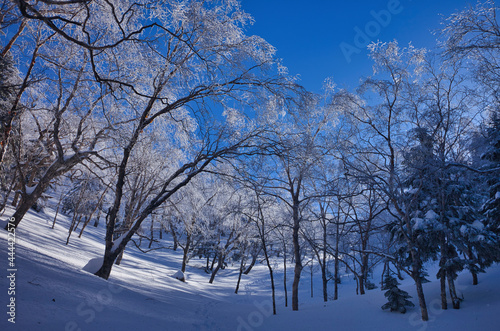 Mt.Iodake, mid winter 厳冬期の硫黄岳登山 photo