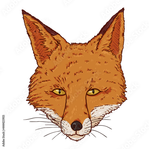 Fox Head. Vector Cartoon Illustration.