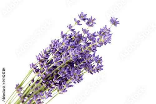 Fototapeta Naklejka Na Ścianę i Meble -  Bunch of purple lavender flowers isolated on white background