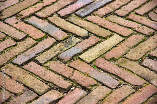 Brick Pathway In A Herringbone Pattern