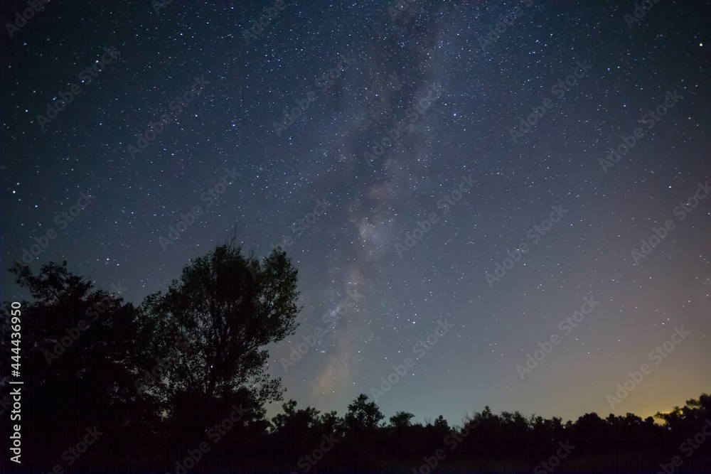 night starry sky above forest silhouette