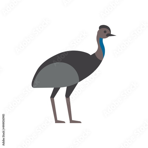 Emu. isolated illustration