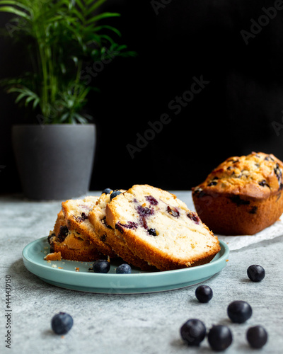 Blueberry Cake Loaf - styled with loaf slice and plant