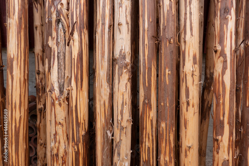 close up view of an old wood texture nature background
