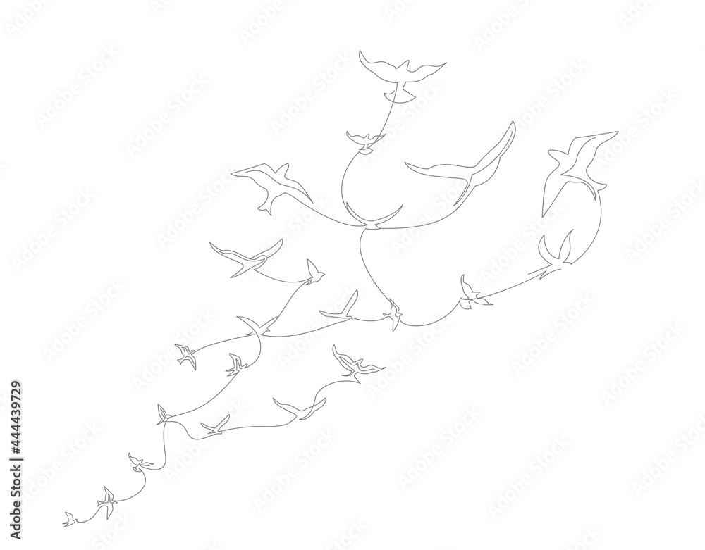 continuous line drawing with A flock of flying birds. Freedom Line art. Black and White vector design continuous line drawing with A flock of flying birds. Freedom Line art. Black and White vector design