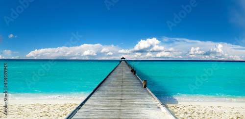 Beautiful tropical Maldives island with beach. © Pakhnyushchyy