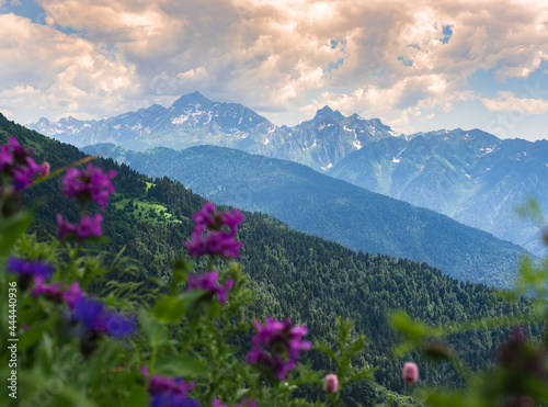 Green mountain slope. Layers of mountains in the haze during sunset. Multilayered misty nountains. Krasnaya Polyana  Sochi  Russia.