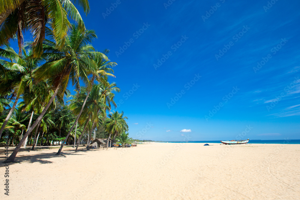 Fototapeta premium tropical beach in Sri Lanka . Summer holiday and vacation concept for tourism.