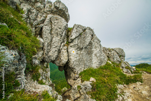 Summer view on velka fatra mountain in Slovakia. photo