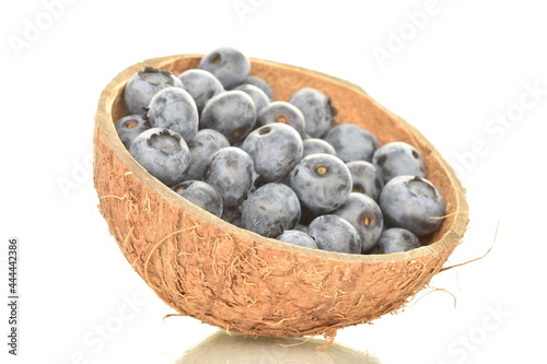 Several berries of ripe dark purple blueberries in a coconut shell  close-up  isolated on white.