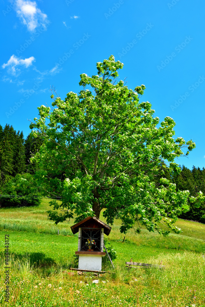 Φωτογραφία panorama of the val di funes south tyrol Italy