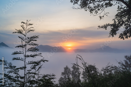 Beautiful sunrise with sea of fog in the early moring at phu thok chiang khan district leoi city thailand.