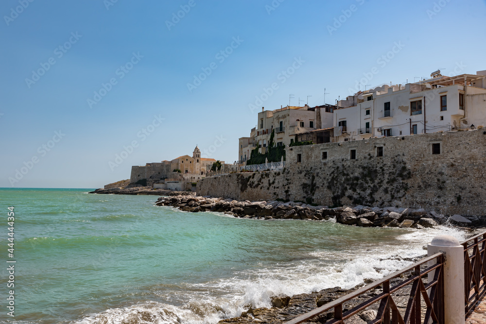 Vieste Puglia sea and town