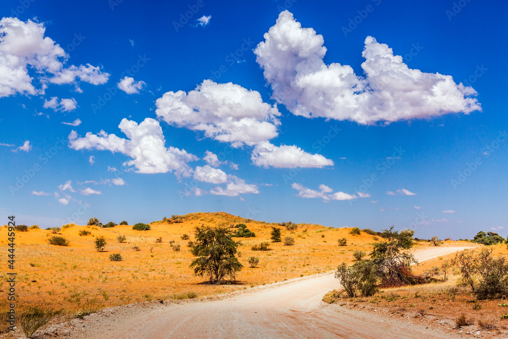 Desert red dune safari road in Kgalagadi transfrontier park, South Africa