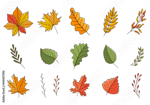 A set of colored doodles. Autumn, colorful leaves and twigs. Oak, maple, birch, chestnut. Botanical decorative elements with outline and fill. Color vector illustration isolated on a white background.