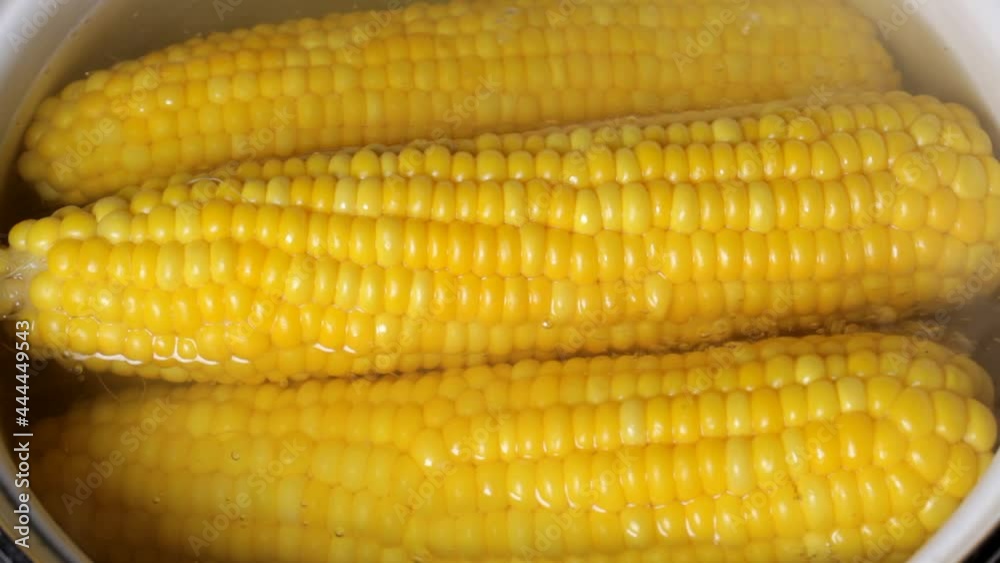 sweet corn is boiled in boiling water, close-up sweet corn is boiled in boiling water, close-up