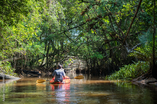 Little Amazon or Klong Sang Nae Canal, Phang Nga photo