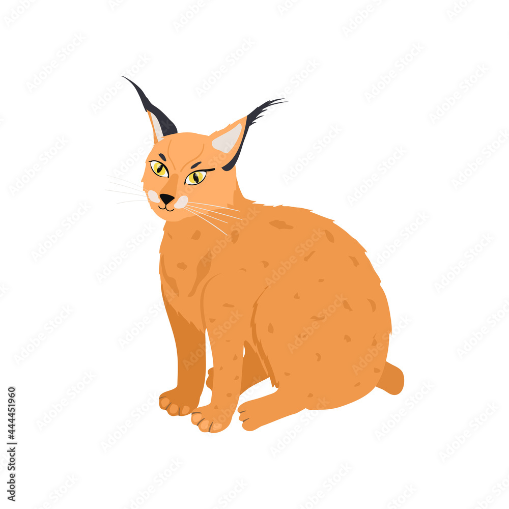 Obraz premium Isometric Lynx Illustration