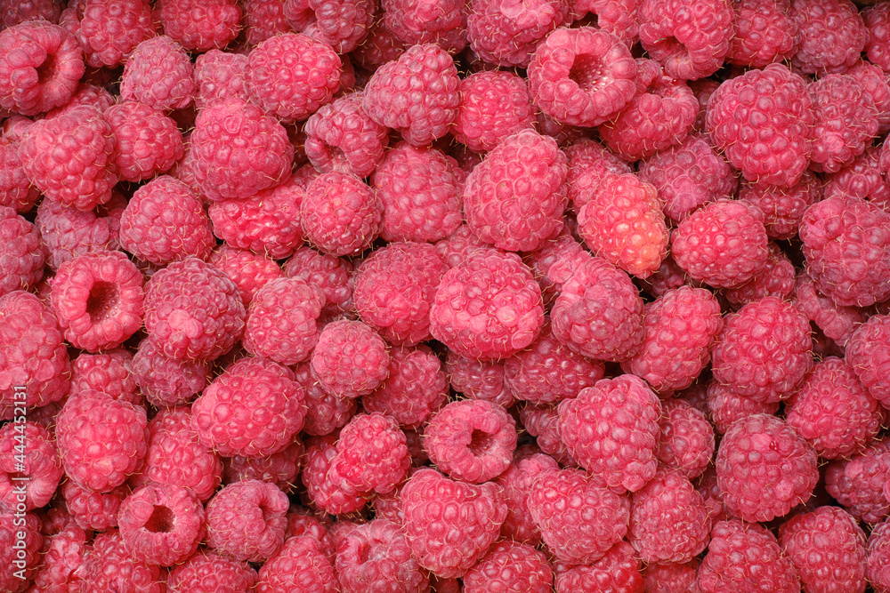 Ripe raspberry background, close up. Selective focus Ripe raspberry background, close up. Selective focus