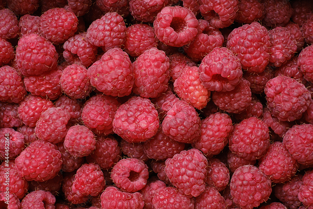 Ripe raspberry background, close up. Selective focus Ripe raspberry background, close up. Selective focus