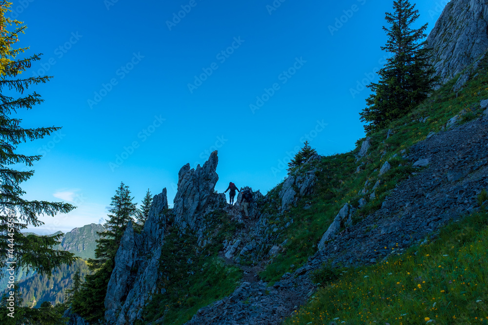 Obraz premium Landscape view of Gastlosen mountain area, with clear skies in the background, shot in Jaun, Fribourg, Switzerland